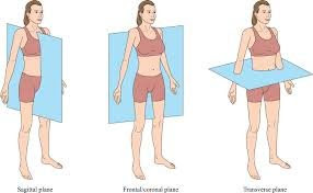 The three planes of movement are used in healthspan quality of life workouts.