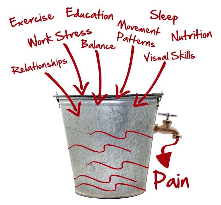 The threat bucket is where stress lives. When there is too much, the bucket overflows. The output: pain.